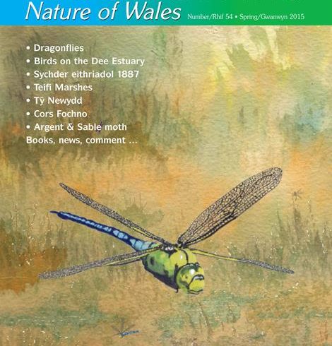 Natur Cymru cover issue 54