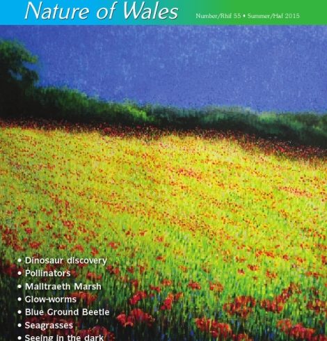 Natur Cymru -55-Summer-2015-cover