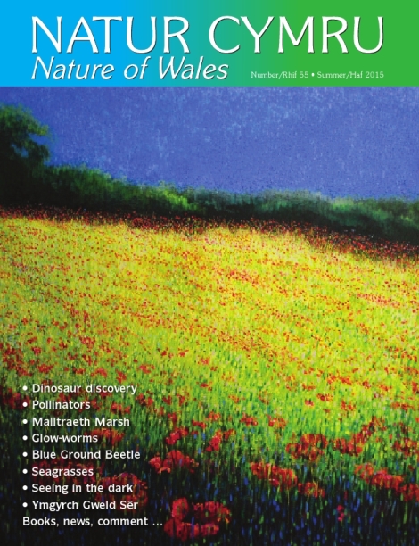 Natur Cymru -55-Summer-2015-cover