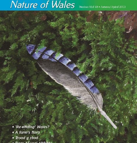 Natur Cymru Issue 48 cover