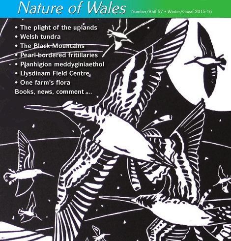 Natur Cymru Issue 57