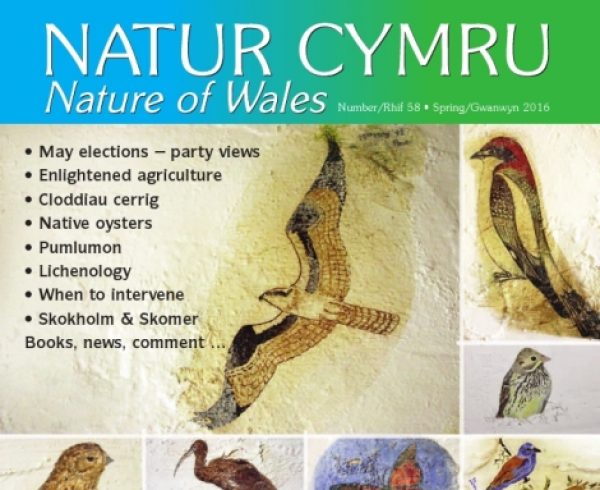 Natur Cymru Issue 58