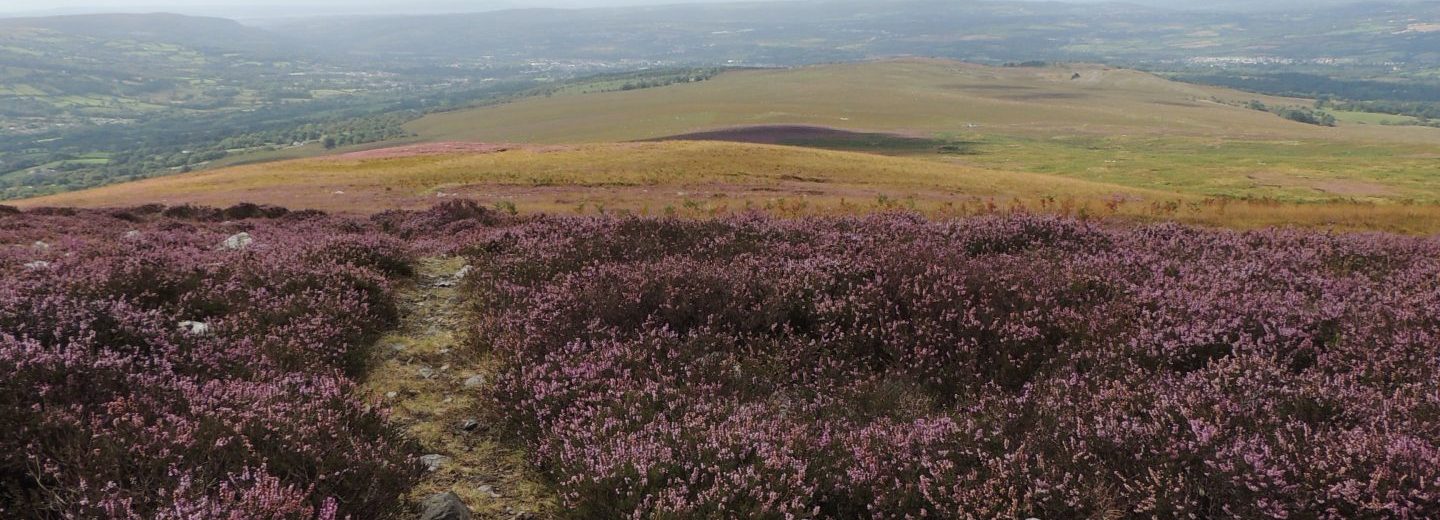 Tair Carn overlooking the Amman Valley. Photo Rob Parry