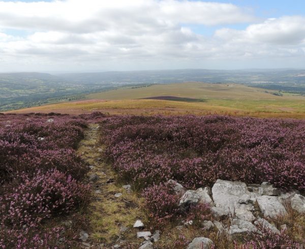 Tair Carn overlooking the Amman Valley. Photo Rob Parry