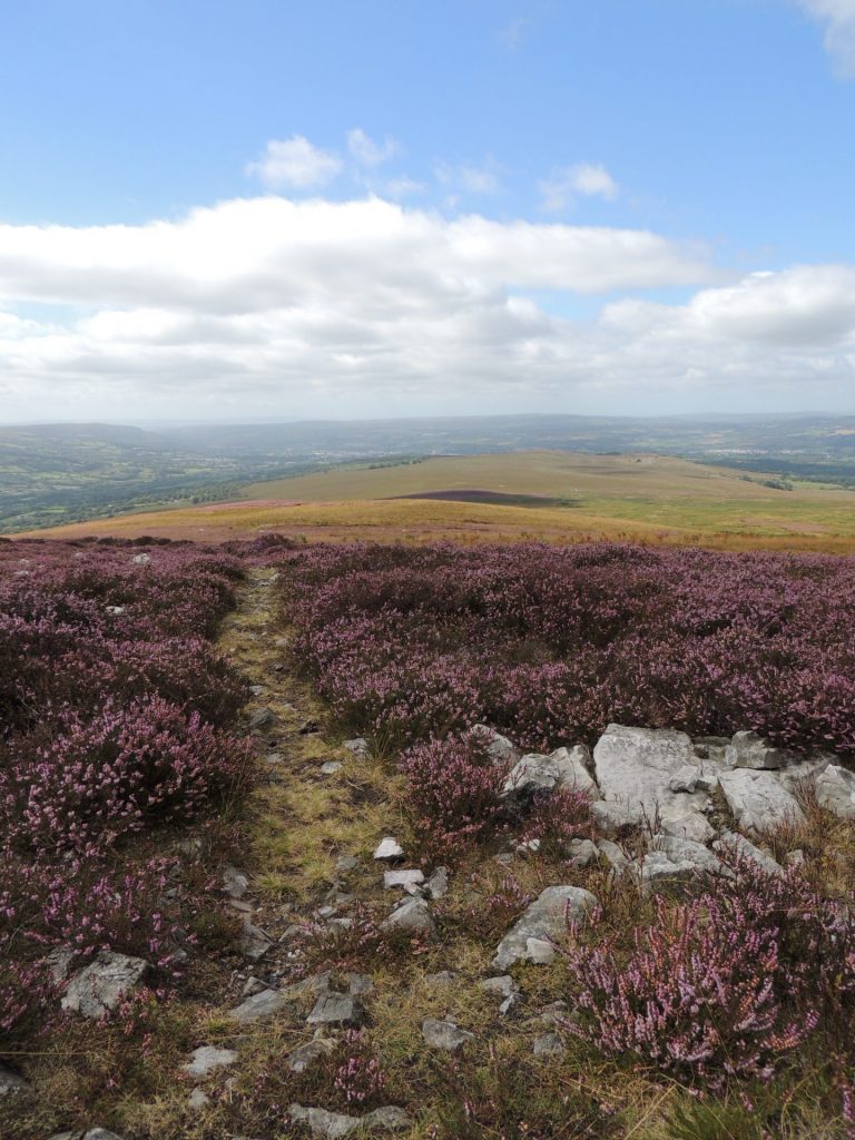 Tair Carn overlooking the Amman Valley. Photo Rob Parry