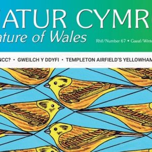 Gift One Year's Subscription to Natur Cymru
