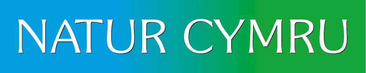 Natur Cymru Logo