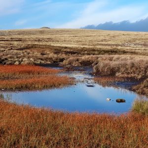 Fighting Fund Appeal