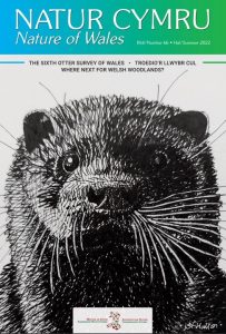 Natur Cymru 66 cover
