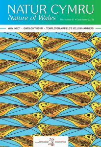 NC67 cover Tara Okon