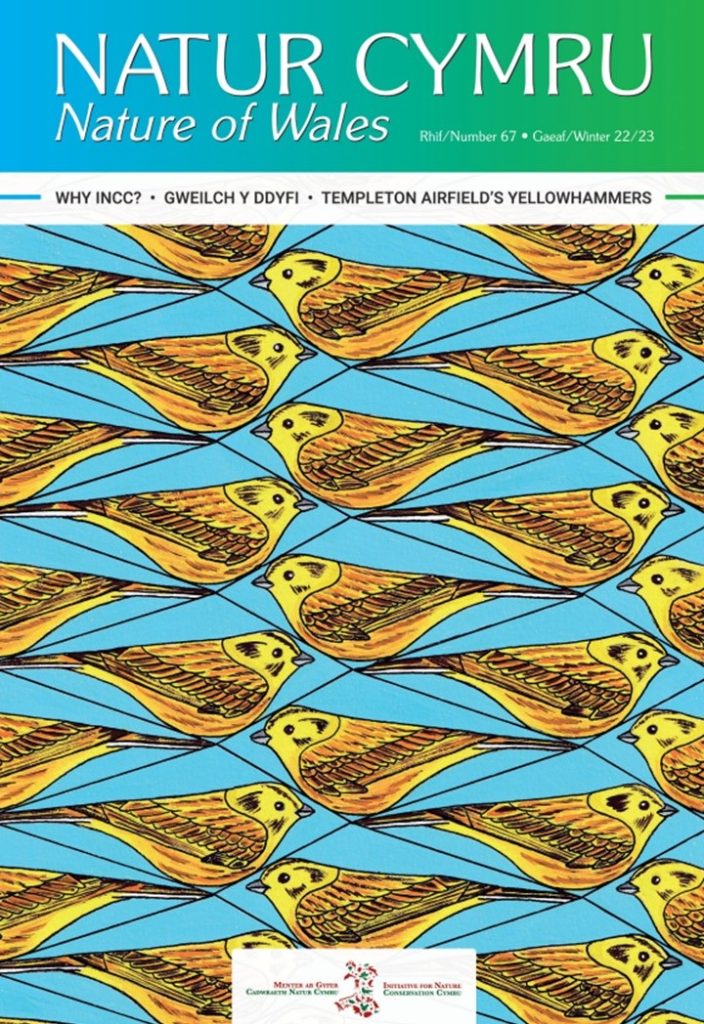 NC67 cover Tara Okon