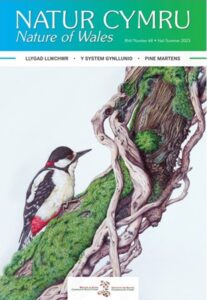Natur Cymru rhif / issue 68 cover