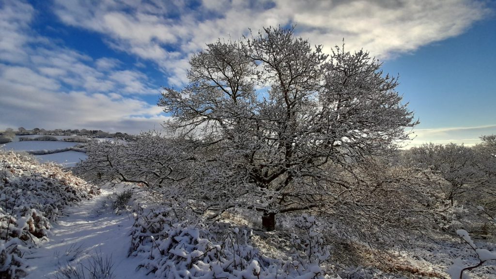 Cwm Pedol in the snow