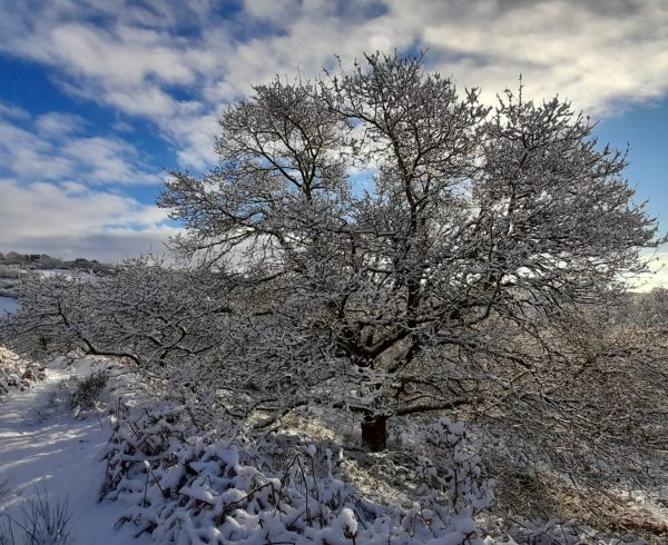 Cwm Pedol in the snow