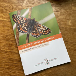 An informative and fascinating guide into how INCC was involved in the marsh fritillary butterfly reintroduction and reinforcement project. 