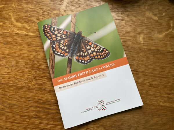 An informative and fascinating guide into how INCC was involved in the marsh fritillary butterfly reintroduction and reinforcement project. 