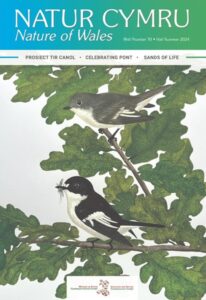 Natur Cymru 70