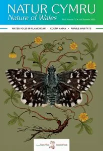 Natur Cymru 72