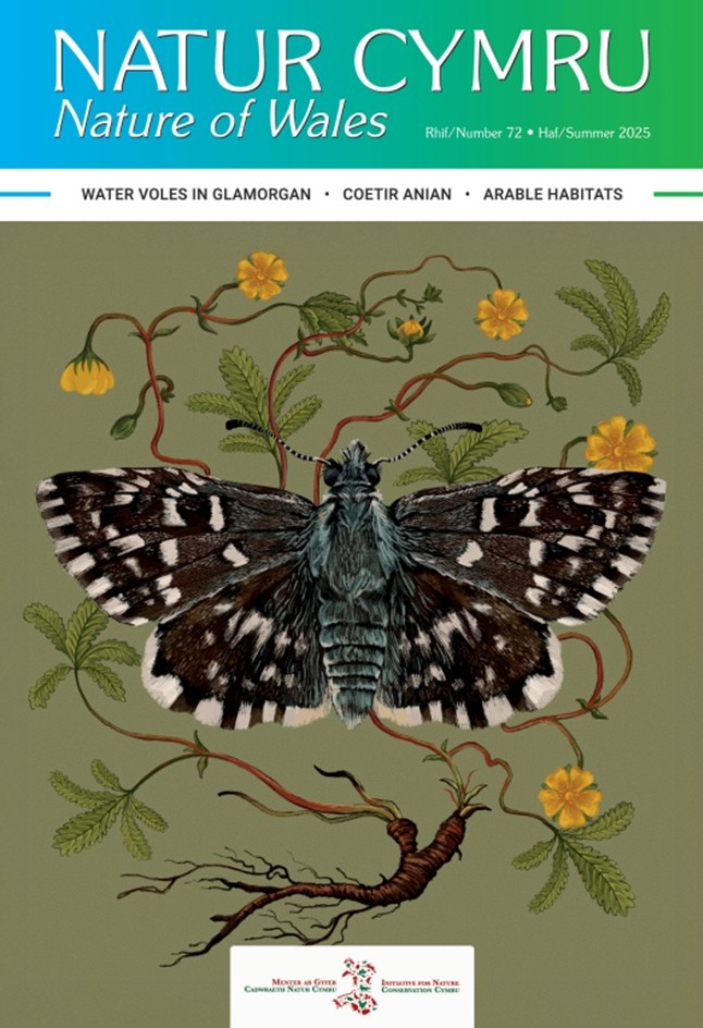 Natur Cymru 72