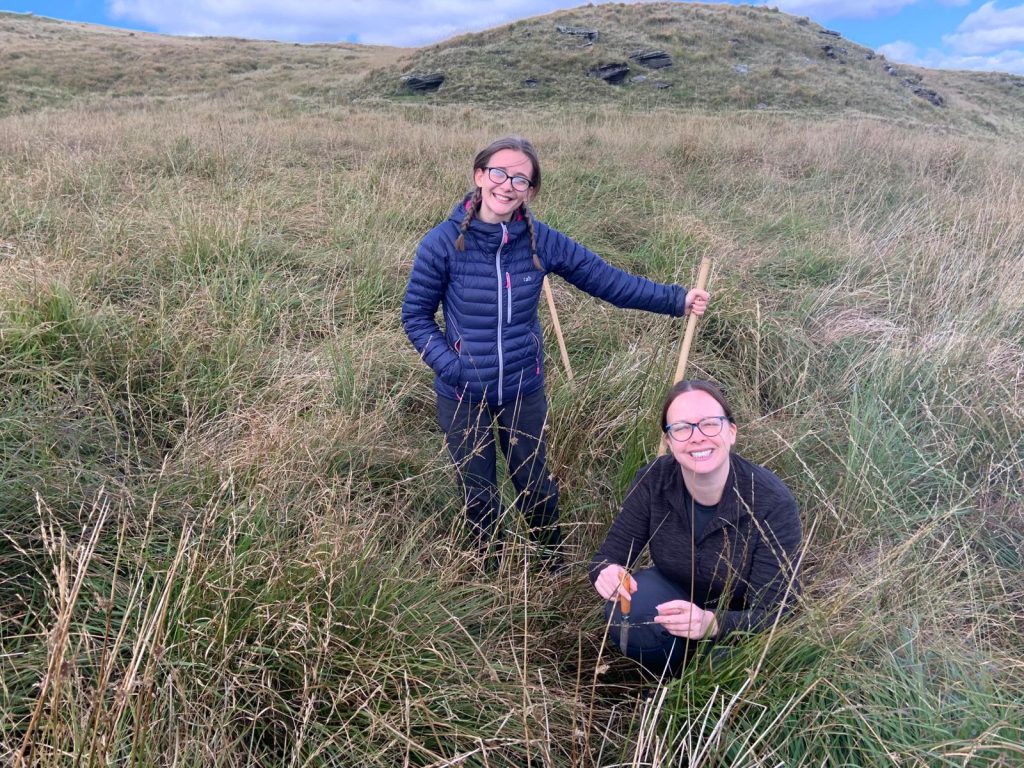 Water Vole Surveys