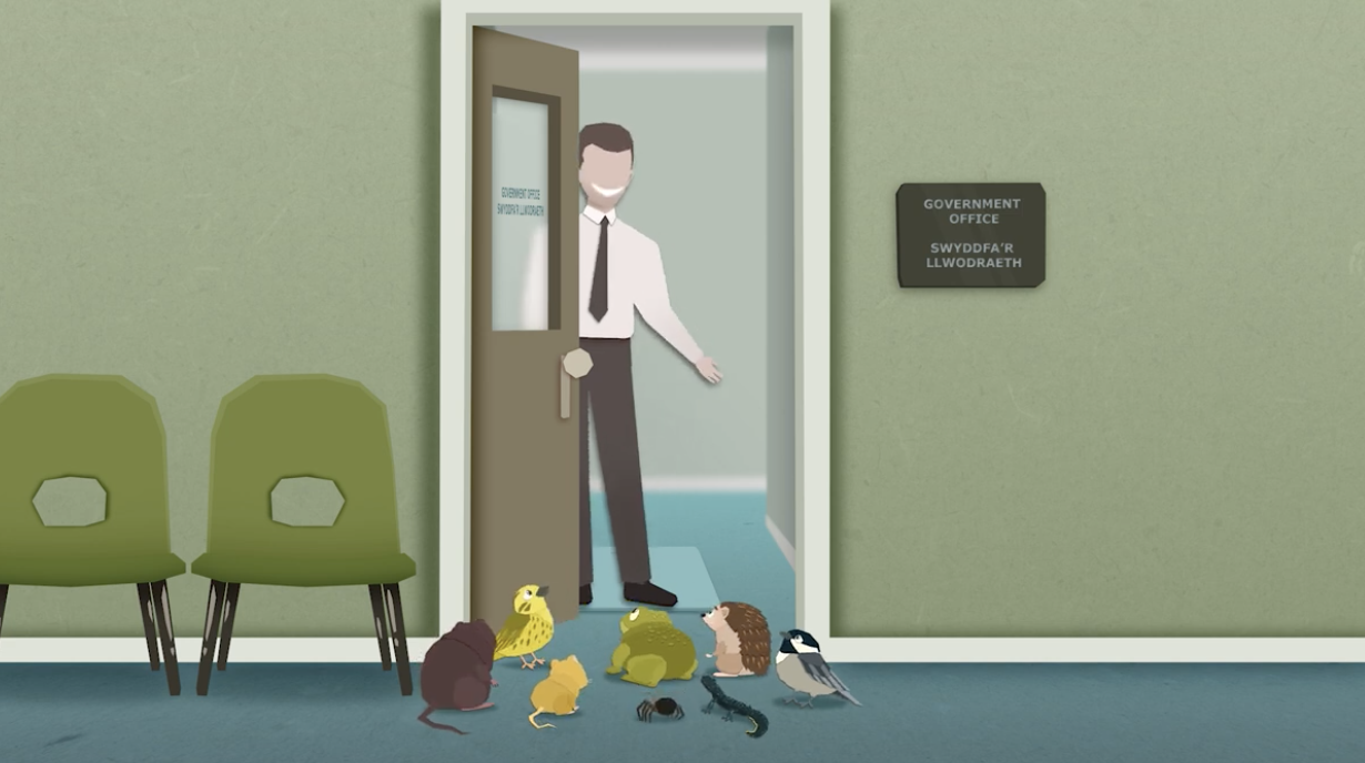 Cartoon image of a variety of wildlife knocking on a door with a human there opening the door